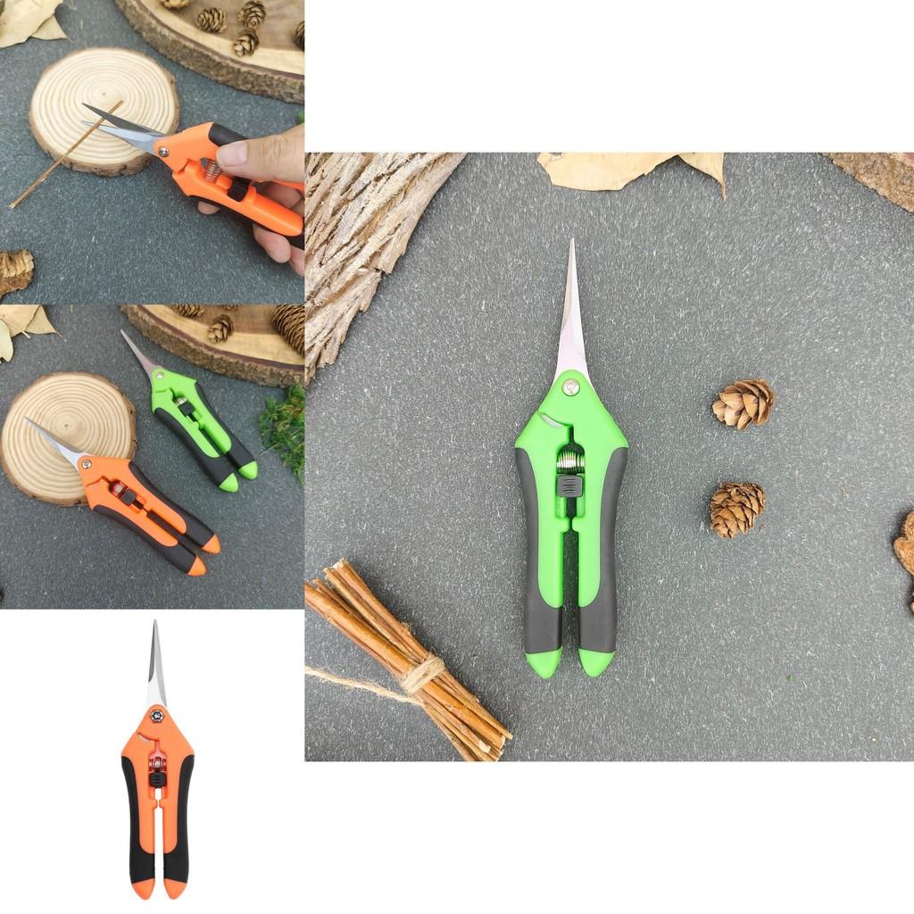 Garden Pruning Shears With Stainless Steel For Fruit Tree Trimming And Outdoor Gardening