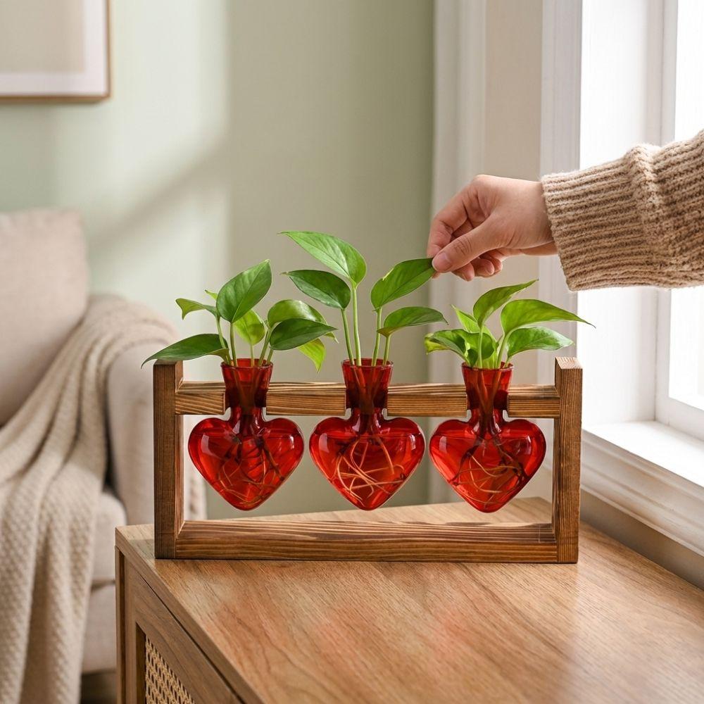 Wooden Stand Hydroponic Plant Vase Transparent Plant Propagation Station Modern Flower Pot  Office