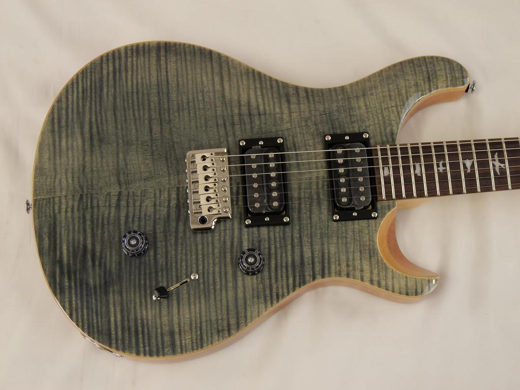 Paul Reed Smith(PRS) SE Custom 24 (Charcoal)