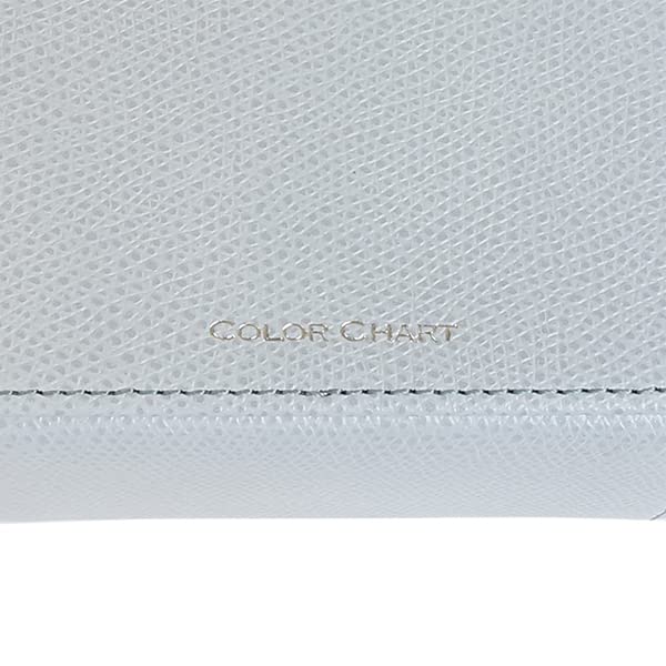 Color Chart Leather Eyeglass Case (Holds 2 Pairs) (83 Horizon Blue)