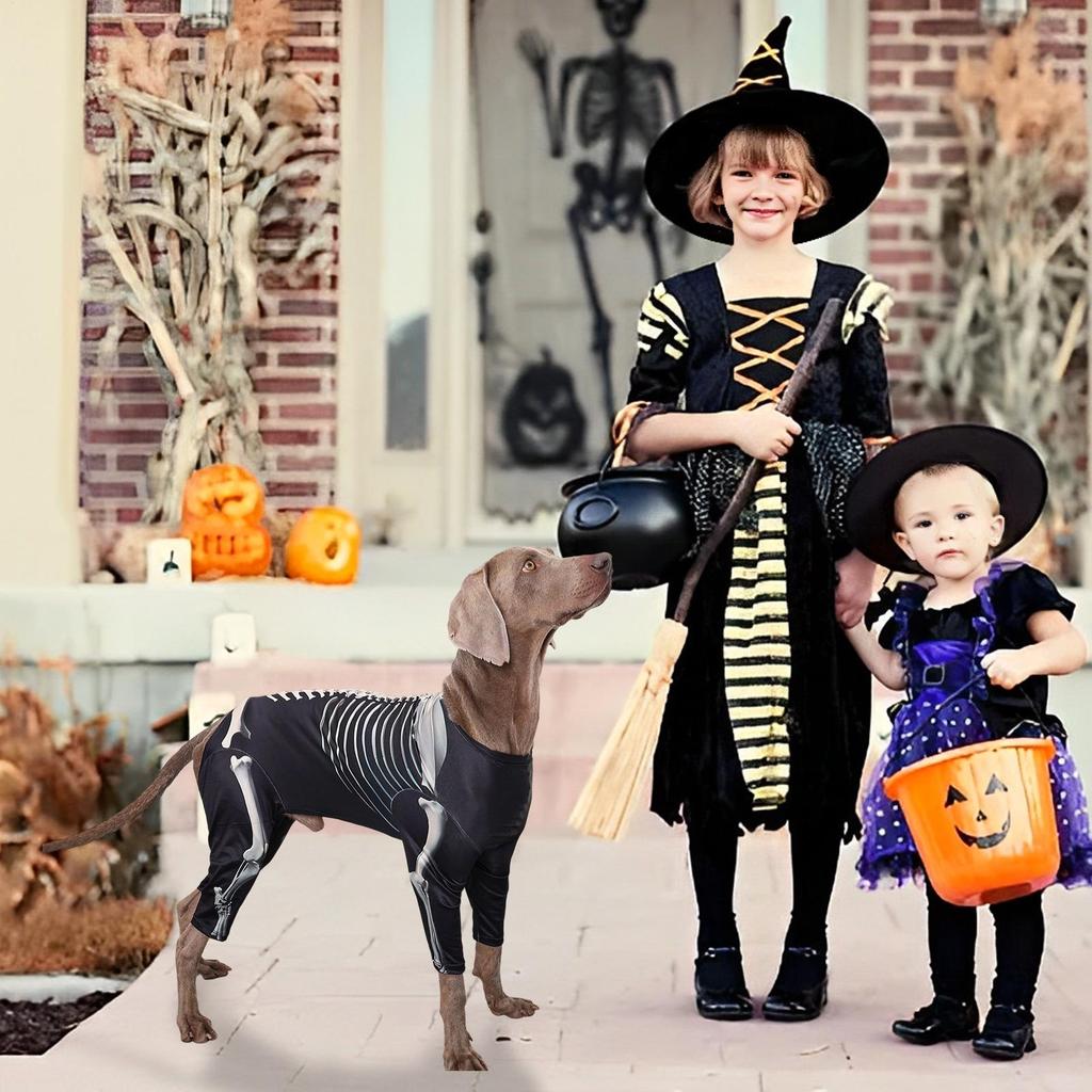 Halloween Dog Costumes Dog Skeleton Costume Puppy Bodysuit Pet Halloween Clothes for Holiday Photo Celebrations Outfits Apparel