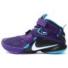 Lebron Zoom Soldier 9 Ep James Soldier 9 Edizione Domestica Viola/NeroBlu 749420-510