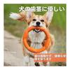 LaRoo Teddy Dog Dental Toy, Small Dog Chew Toy Durable, Round Frisbee 18cm Stress Relief for Pet Intelligence Training (Small and Medium Dogs),