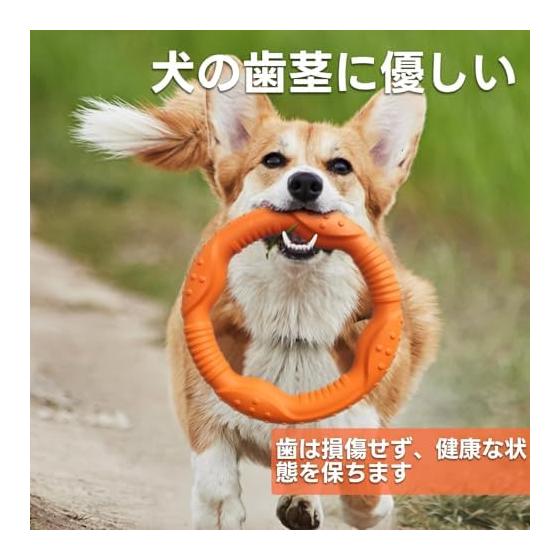 LaRoo Teddy Dog Dental Toy, Small Dog Chew Toy Durable, Round Frisbee 18cm Stress Relief for Pet Intelligence Training (Small and Medium Dogs),