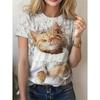 Bee Cat Easter Egg Pattern T-Shirt for Women Cartoon Animal 3D Printed Casual Loose Tees Round Neck T-Shirts