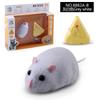 Simulated Infrared Electric Remote Control Mouse Model, Scary New And Strange Mouse Tricky Toy Direct Supply