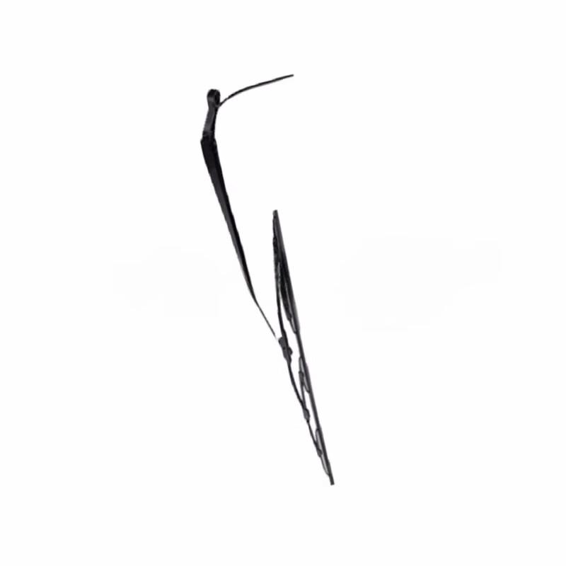 Dongfeng Tianjin EQ1120GA Wiper Arm & Blade Assembly