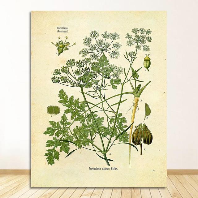 

Плакат Петрушка Шалфей Розмарин Тимьян Кулинарная Настенная Картина Картина на холсте Кухонный Декор Специи Травы Печать Винтаж Ботанический Без Рамки 21*30cm