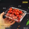 Handun Disposable Fruit Container