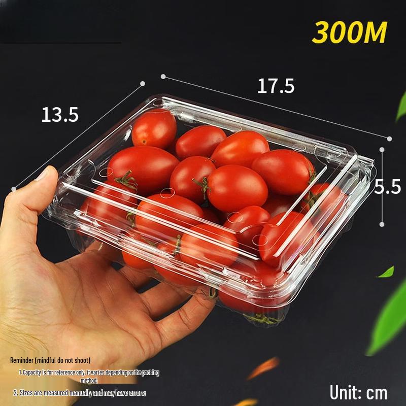 Handun Disposable Fruit Container