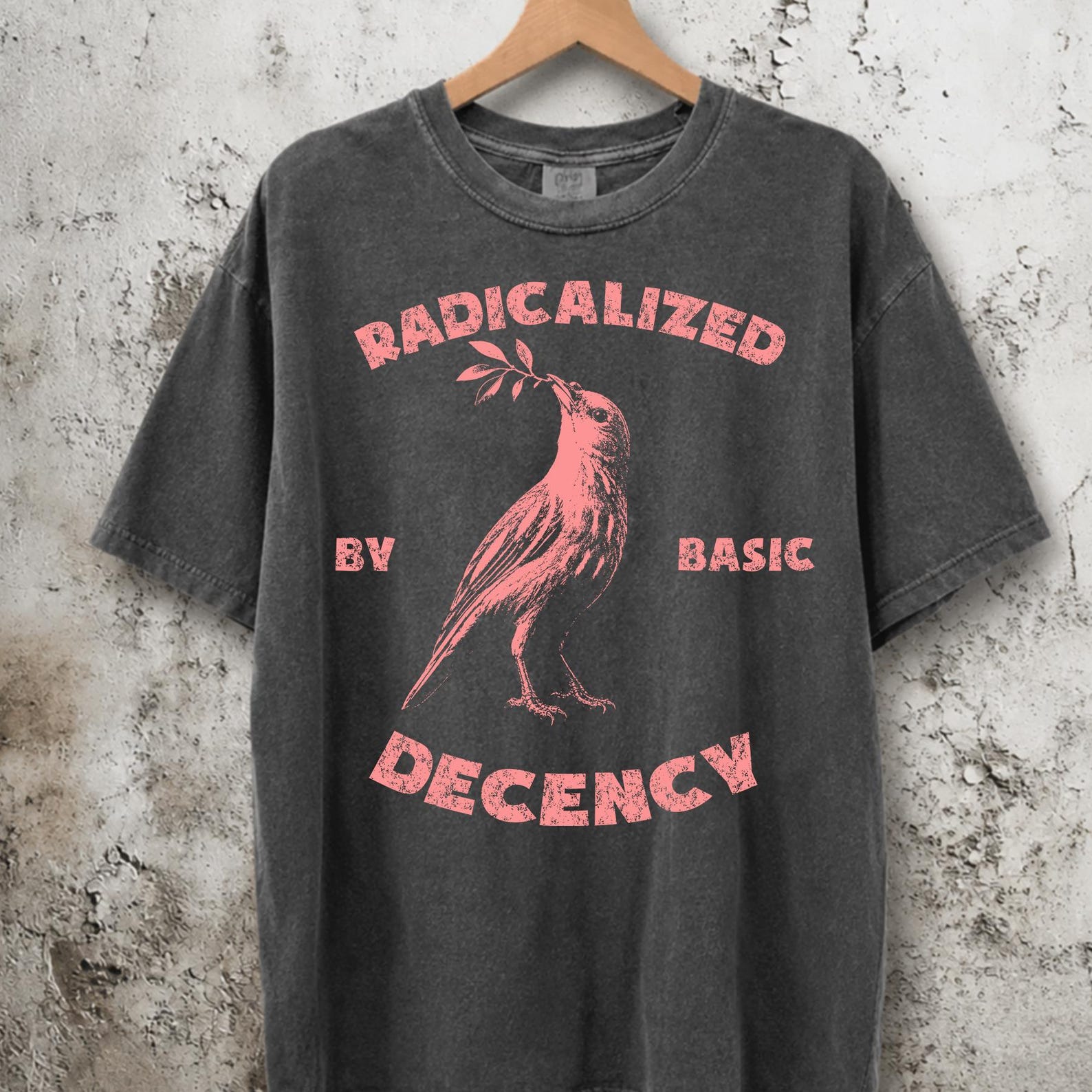 Radicalized By Basic Decency Comfort Colors Shirt, Political Protest Tee, Social Justice Graphic, Liberal Activist Gift XL