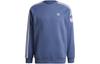 Sweatshirt Men's Dark Blue GN3556