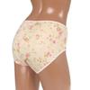 Bapul Mom Panty Sb Pr 18208 Cotton Stretch Panty  95   105 