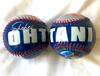 Shohei Otani Ball, Los Angeles Dodgers, persönliches Bild, signierter Ball, wichtiger offizieller Ball [Übersee-Limitiert] Nr. 17 [Artikel]