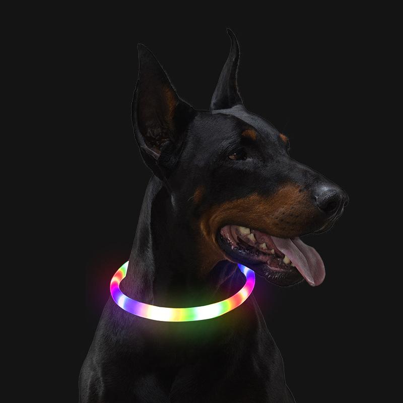 LED Evcil Hayvan Tasması Köpek Renkli Işıklı Tasma Serbest Kesim Gece Lambası Köpek Yürüyüş Işıkları Yanıp Sönen Boyun Bandı USB Şarjlı