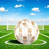 1pc Floral Tiger Portrait Size 5 Soccer Ball Professional Match Training Football Indoor &Outdoor Sports Ball Lightweight Durable C6589