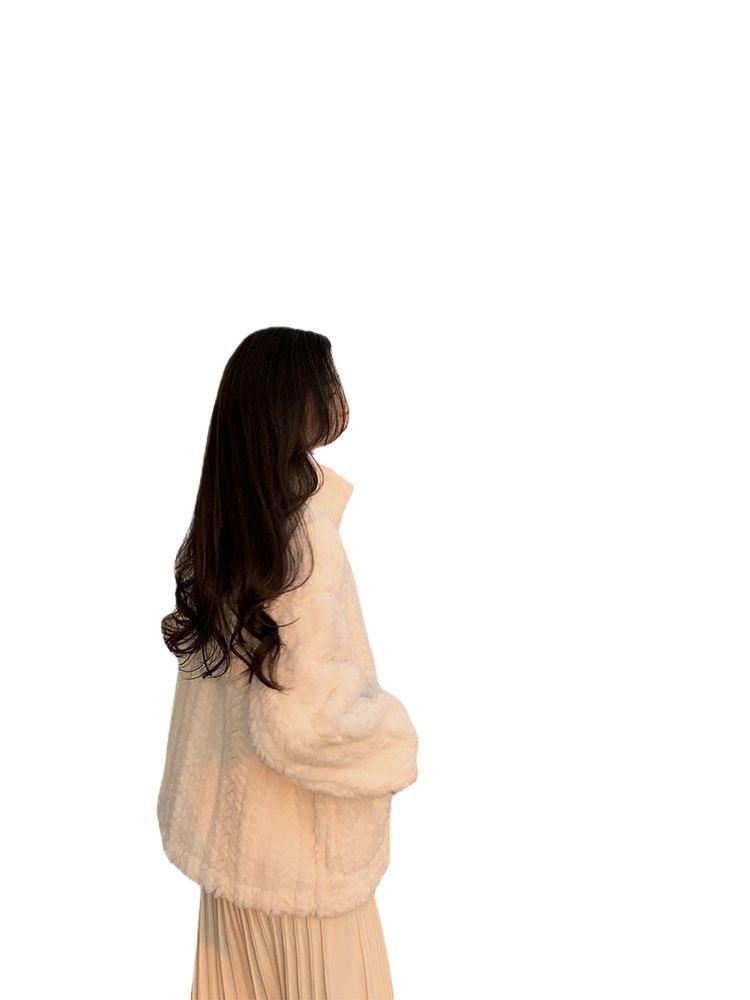 Autumn and winter new imitation fur coat women's plush stand-up collar imitation lamb wool thickened college style imitation rabbit fur coat