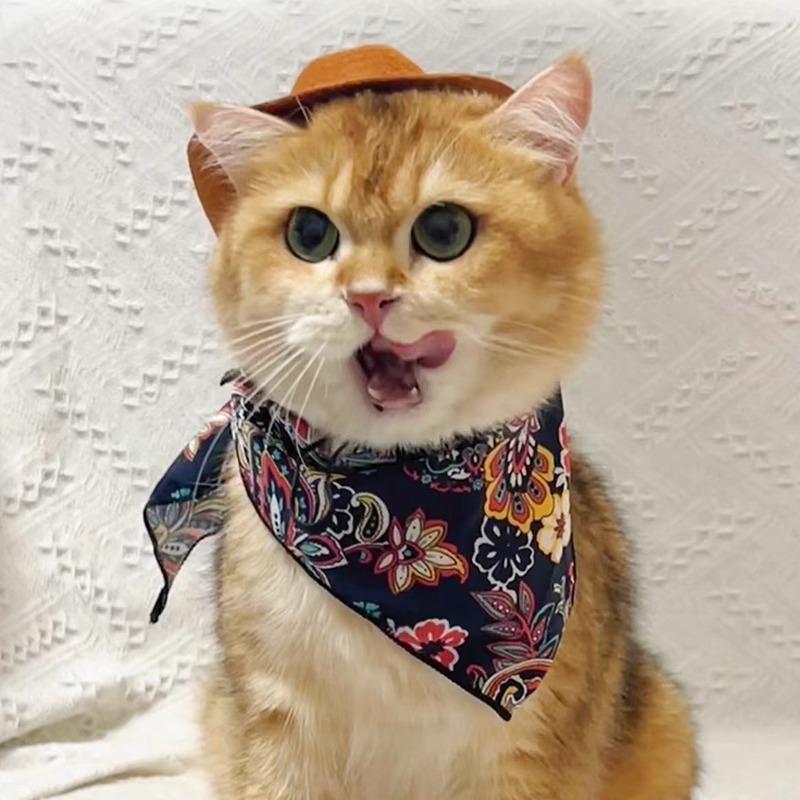 Cat Hat Western Cowboy Hat Pet Dog Photo Cute Funny Headwear Small and Medium-sized Dogs Sun Protection Sun Hat