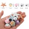 1Set Hole Shoes Summer Shoe Starfish Pearl Shell Decorative Buckle Accessories Removable Diy Decor Gift