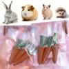 3/6 Stück Karottenförmige Kleine Haustier-Kauspielzeuge, Fördert die Zahngesundheit, Geeignet für Hamster, Kaninchen, Meerschweinchen & Igel