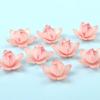 5 Stück Harzblumen-/Blattverzierungen Schmuckherstellung Zubehör Haaraccessoires Kits