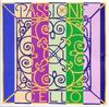 Violin String PASSIONE Pirastro A String