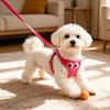 Yousheng Padded Step-in Dog Harness Breathable Adjustable Pet Harness Cute Big Eyes Harness with Leash for Small Dogs