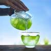HARIO Chacha Kyusu Made of Made In Easy To Practical Capacity Microwave and Dishwasher AYAORI, Heat-resistant Glass, Japan, Clean, Transparent, 450ml,