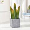 Simulatie huisdecoratie balkon vloersieraad kunstplant simulatie cactus potplant