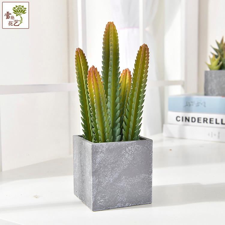 Simulatie huisdecoratie balkon vloersieraad kunstplant simulatie cactus potplant