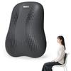 PROIRON Chair Back Cushion, Lumbar Support, Back Support Cushion, Posture Corrector, Relieves Back Pain, for Sofas