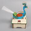 Technology Small Production Small Invention Handmade Diy Material Peacock Open Screen Science Small Experiment School Homemade Works