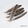 50Pcsdiy Jewelry Accessories Feather Diy Feather Headdress Corsage Hat Shoes Handicrafts Decorative Materials