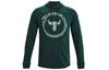 Project Rock Sweatshirts Heren Groen Met Capuchon Normaal Regular 1361747-384