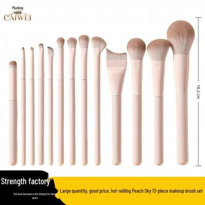 Set de Pinceles de Maquillaje Tao Yao para Principiantes: Pinceles para Ojos, Rubor, Contorno, Difuminar, Nariz y Corrector