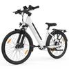 WITAMBIKE W275 Adult Electric Bike 250W 36V13AH 27.5 Inch Tire Urban Commuting E Bike City Electric Bicycle for Daily Road Travel and Outdoor Riding