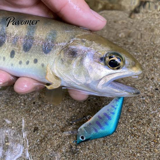 Artificial Bait 4.8cm/3.8g Fishing Lure Bionic 3D Eyes Sharp Hooks Fake Stream Trout Sinking Minnow for Freshwater Saltwater Swimbait