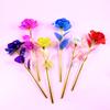 2pcs Led Valentine's Day Mother's Day Gift 24K Foil Plated Roses Artifical Flowers Wedding Decor Lighting Roses Creative Gift