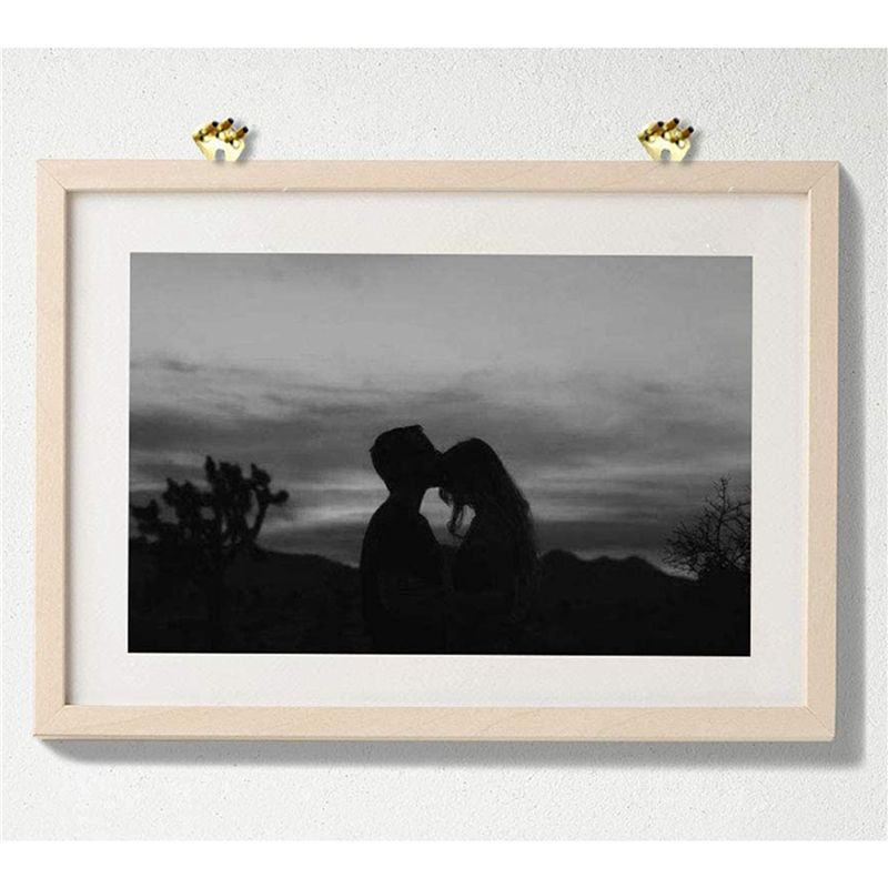 A74E-30Pack 100 Lbs Picture Frame Hangers Hooks With Nails Picture Hanging Hooks Heavy Mirror Hanging Kit