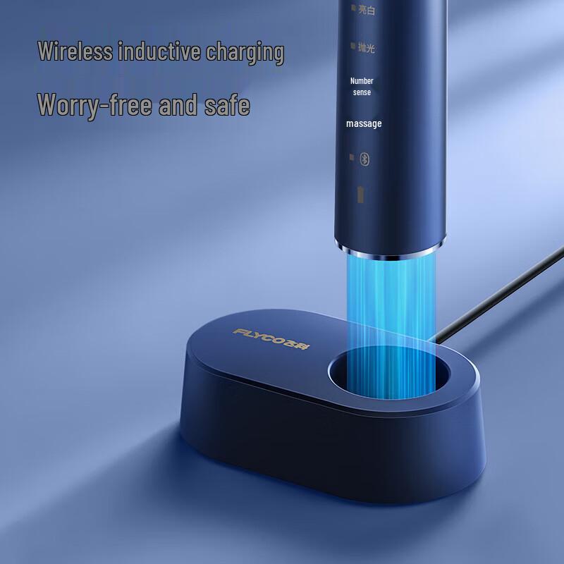 Flyco Smart Sonic Electric Toothbrush
