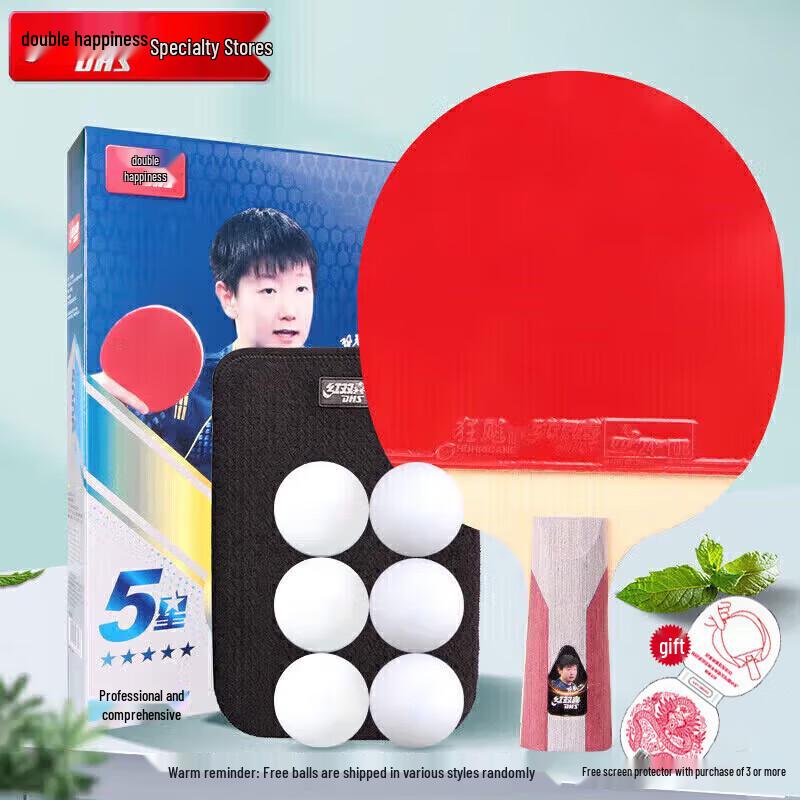 DHS Hurricane 5-Star Table Tennis Racket