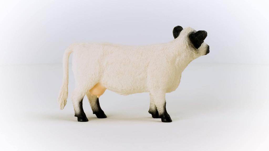 Schleich Farm World Galloway Cow 13960N (Female)
