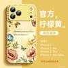 Applicable To Apple 17promax Mobile Phone Case, New iPhone14 Case 15pro Hand Rope Ip16 Bracket 13pro.