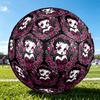 1pc Betty Boop Size 5 Soccer Ball, Standard Sport Football Firm Stitching for Training And Match, Gentle on the Feet, Durable and Unique