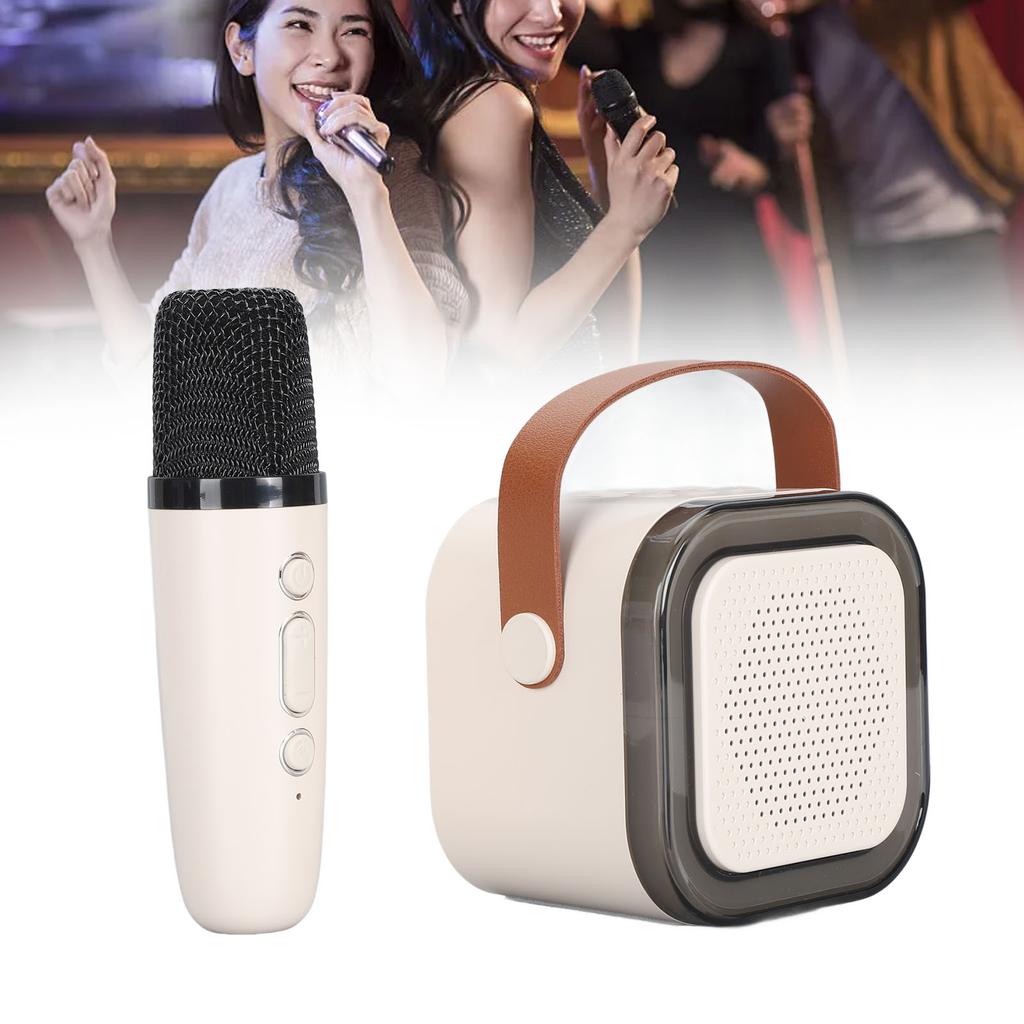 Taşınabilir Karaoke Makinesi LED Dinamik Işık Küçük Hoparlör Mikrofonlu 4 ila 12 Yaş Çocuklar Yetişkinler İçin