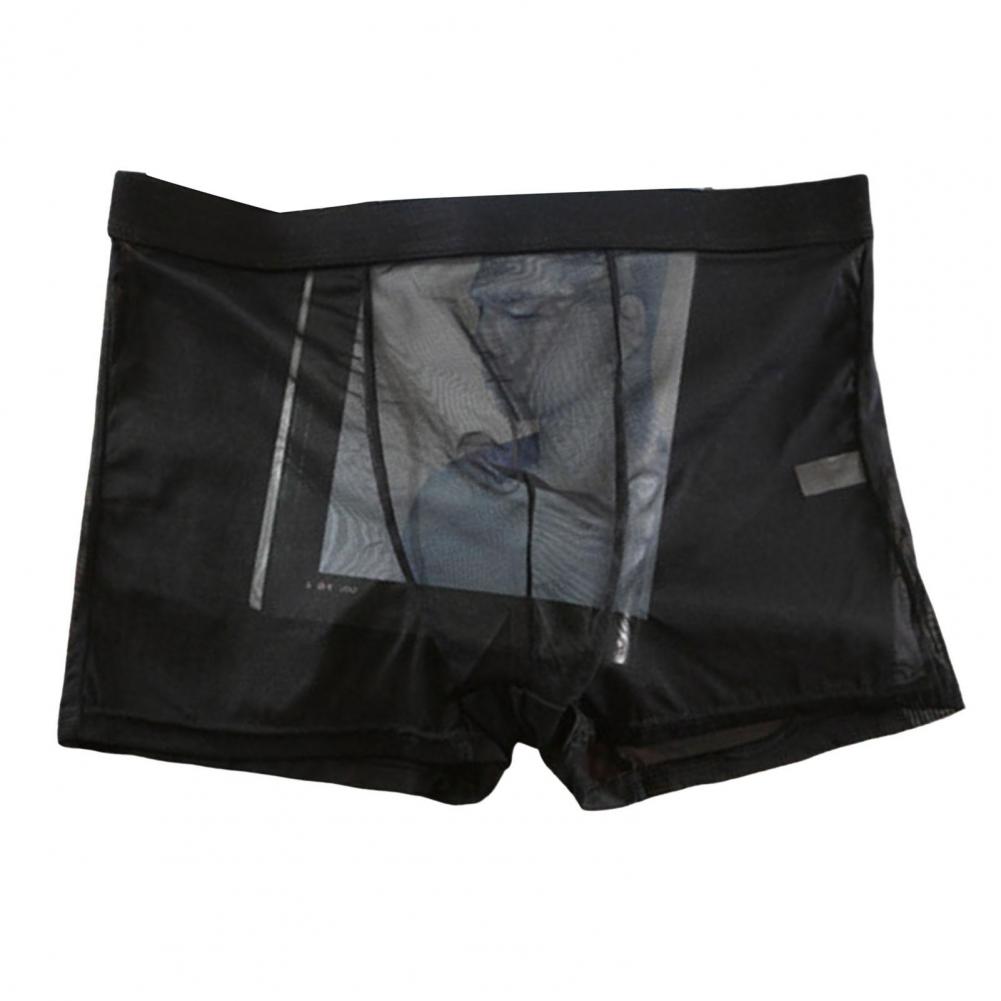 Men Boxer Sheer Mesh Boxer for Men Sexy Transparent Underwear Ultra-thin See Through Boxershorts Stretchy Net Yarn Pants