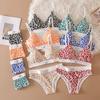 Women's Polka Dot Pattern Underwear Set Wireless Bra Set Seamless Bikini Briefs