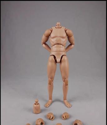 Toys Hobbies Action Figure COOMODEL COO Male Body Action Body Body Type & [TOYBARJAPAN] 1/6 BD001/02/03/04/07/08/09/10 (Standard BD001)