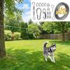Anti Rust Dog Runner for Yard Metal Buckle Trolley Dog Run Cable System Kit  Park Camping