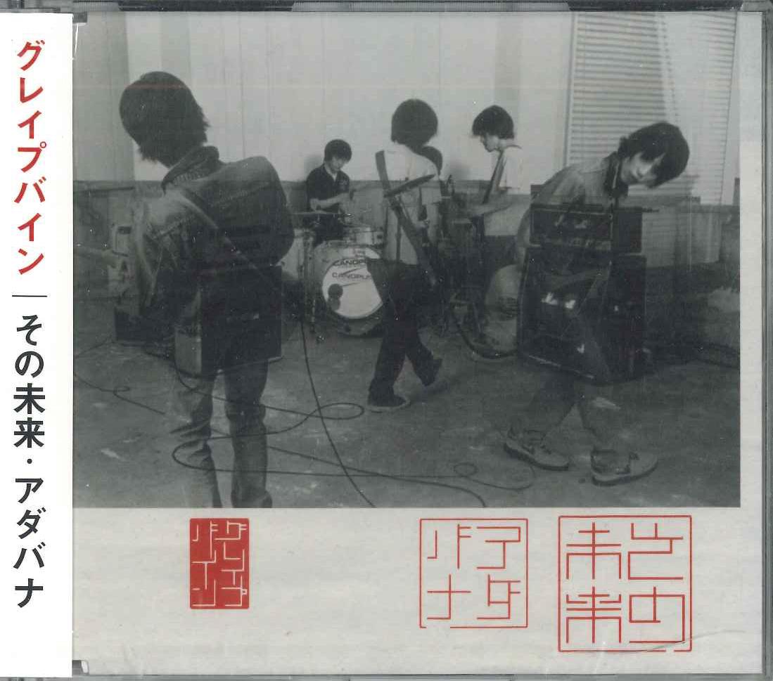 

CD Sono miraiAdavana PCCA70118PROMO PONY CANION Japan Obi Japanese PopRock Used